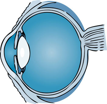 cataracteFotolia